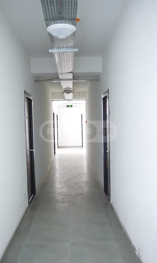 დიდი დიღომი, ვაკე საბურთალო